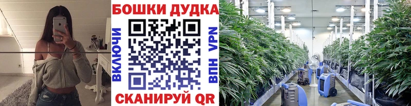 omg ТОР  где продают   Яблоновский  Шишки марихуана THC 21% 